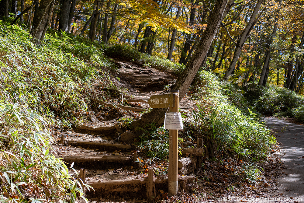 上日川峠の大菩薩嶺登山口