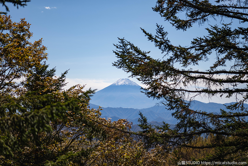 唐松尾根の木々の間から見える富士山