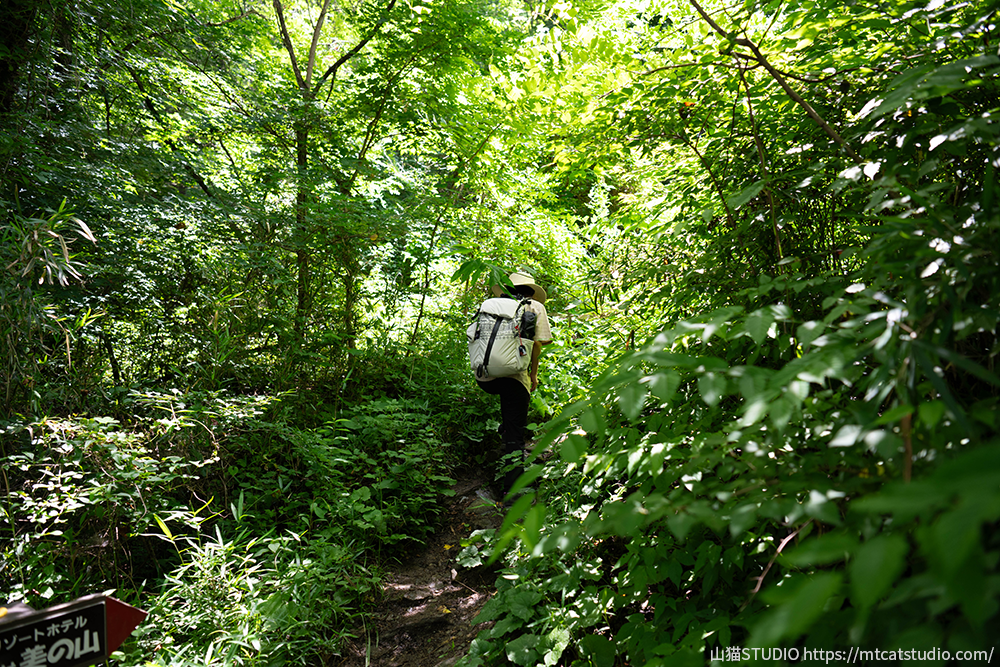 蓑山登山道