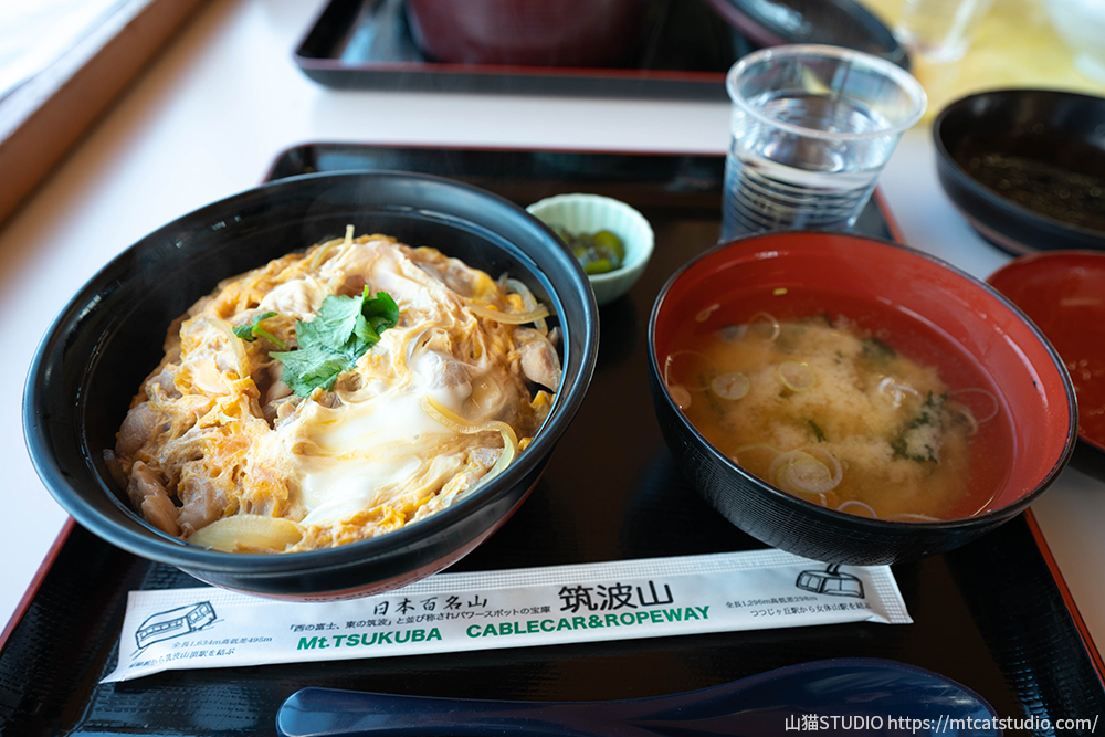 コマ展望台でオーダーした親子丼