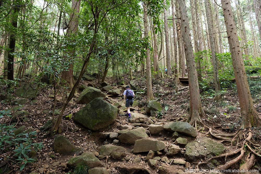 岩の登山道を登っていく様子
