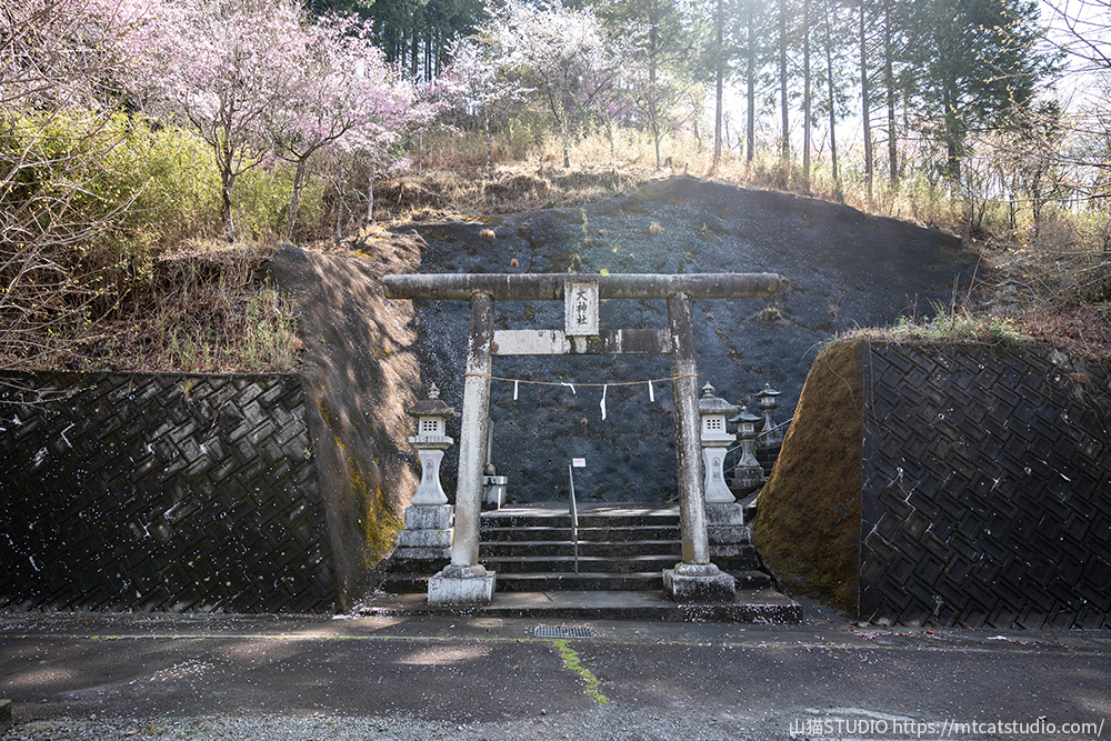 大神社入り口の鳥居