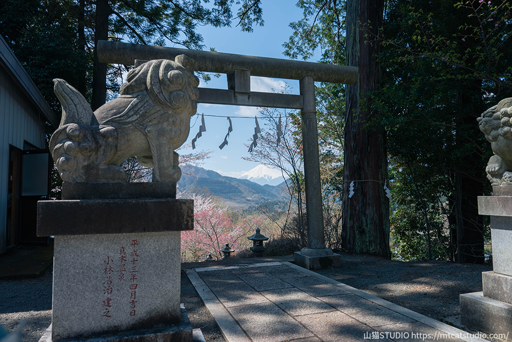 鳥居から見える富士山を見守る狛犬たち