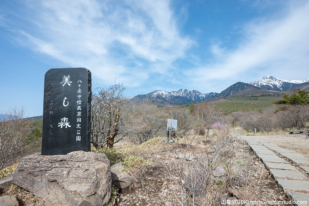 美し森山頂標識と八ヶ岳