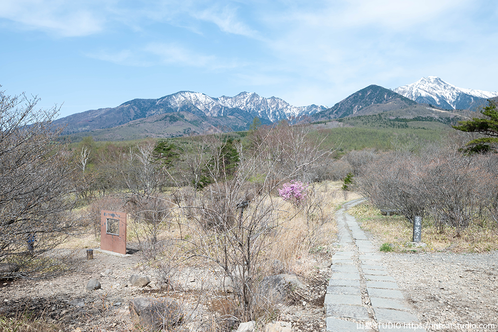 美し森山頂から見える八ヶ岳