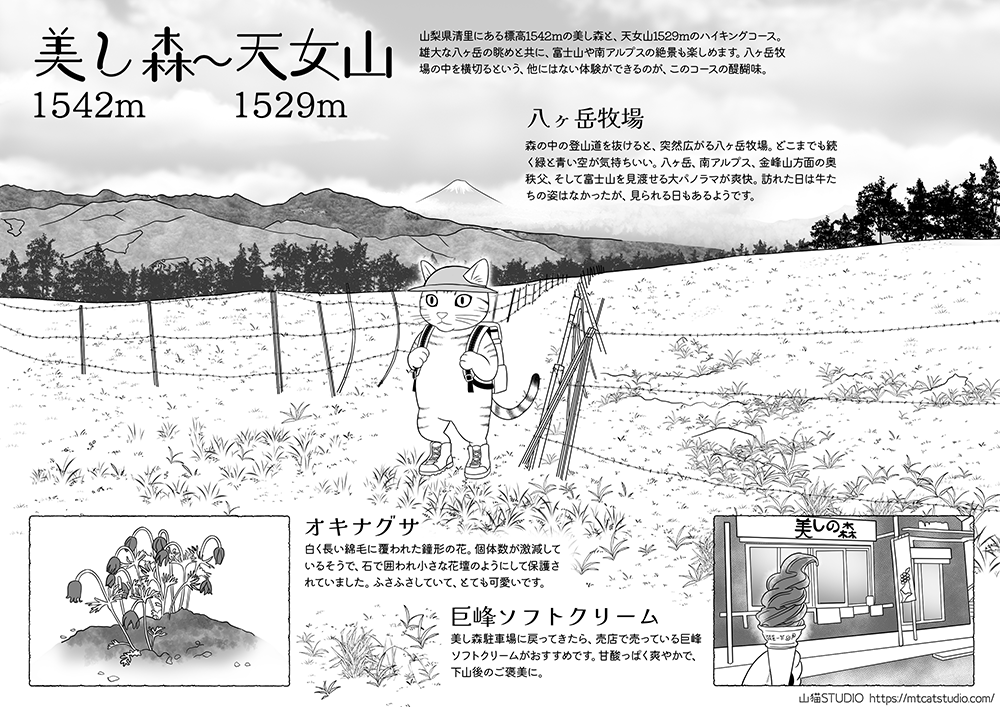 美し森~天女山の登山イラスト記録