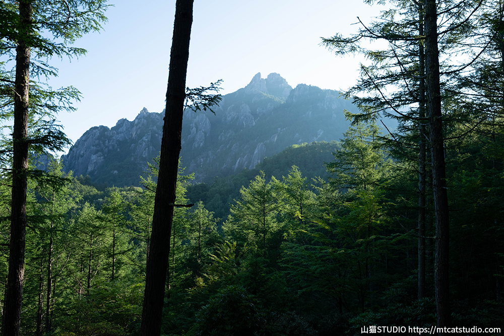 木々の間から現れる瑞牆山の山容